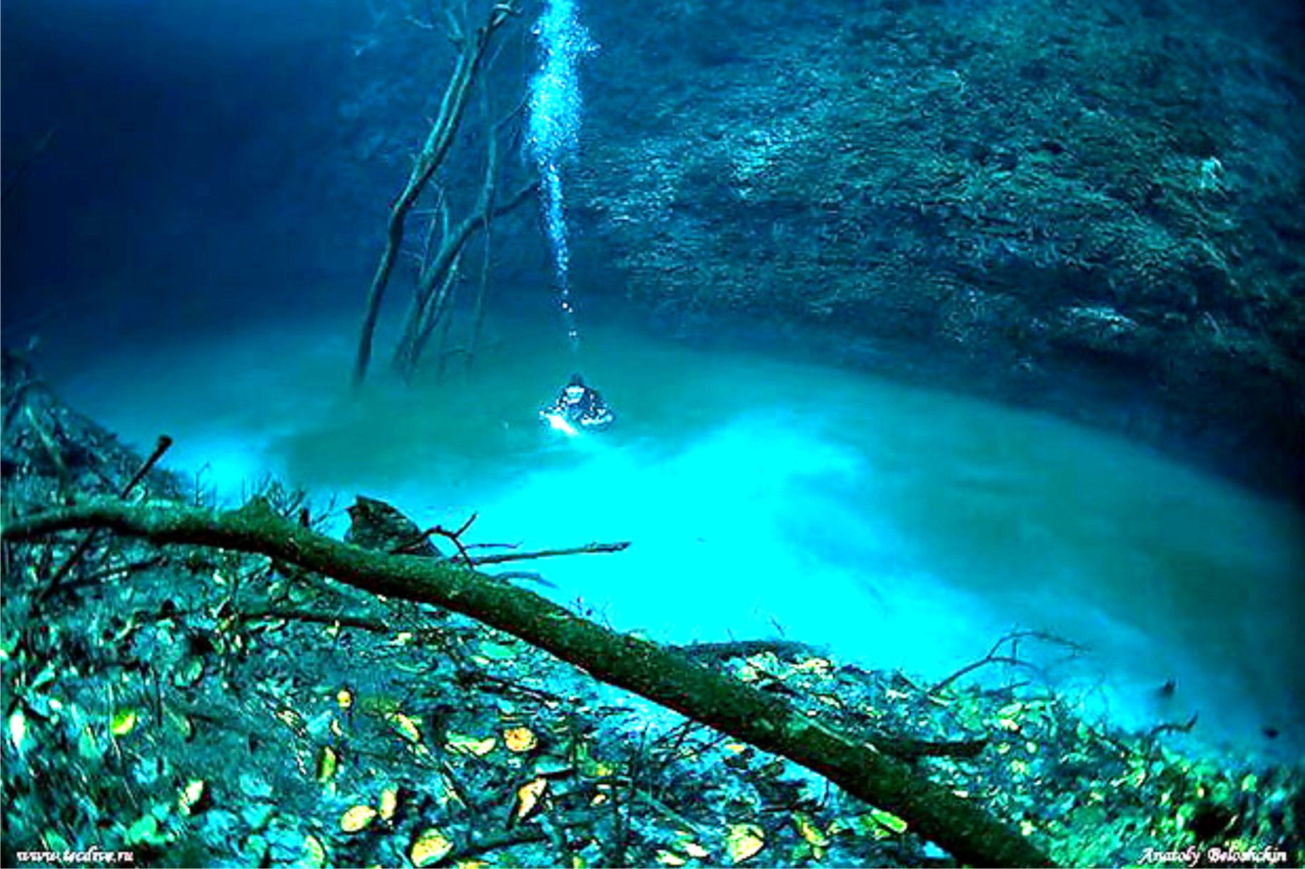 Вода в подземных реках и озерах. Сенот Ангелита Мексика. Река Сенот Ангелита. Сенот Ангелита мистическая подводная река в Мексике. Река в Сенот Ангелита Мексика.